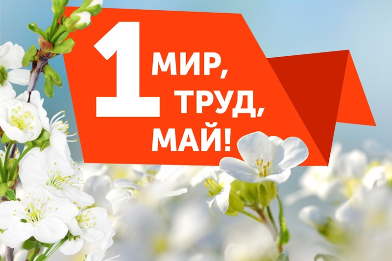 График работы ООО