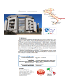 Декоративные аксессуары CTF