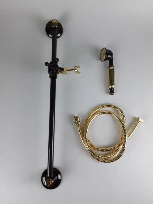 Emmevi, душевой комплект: штанга, лейка, шланг. C02541, цвет черный-золото